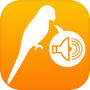 Icon dari 