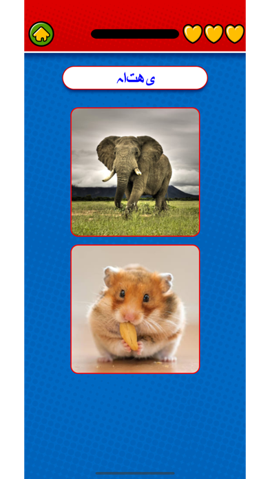 Captura de Tela do Jogo Learn Urdu Flashcards