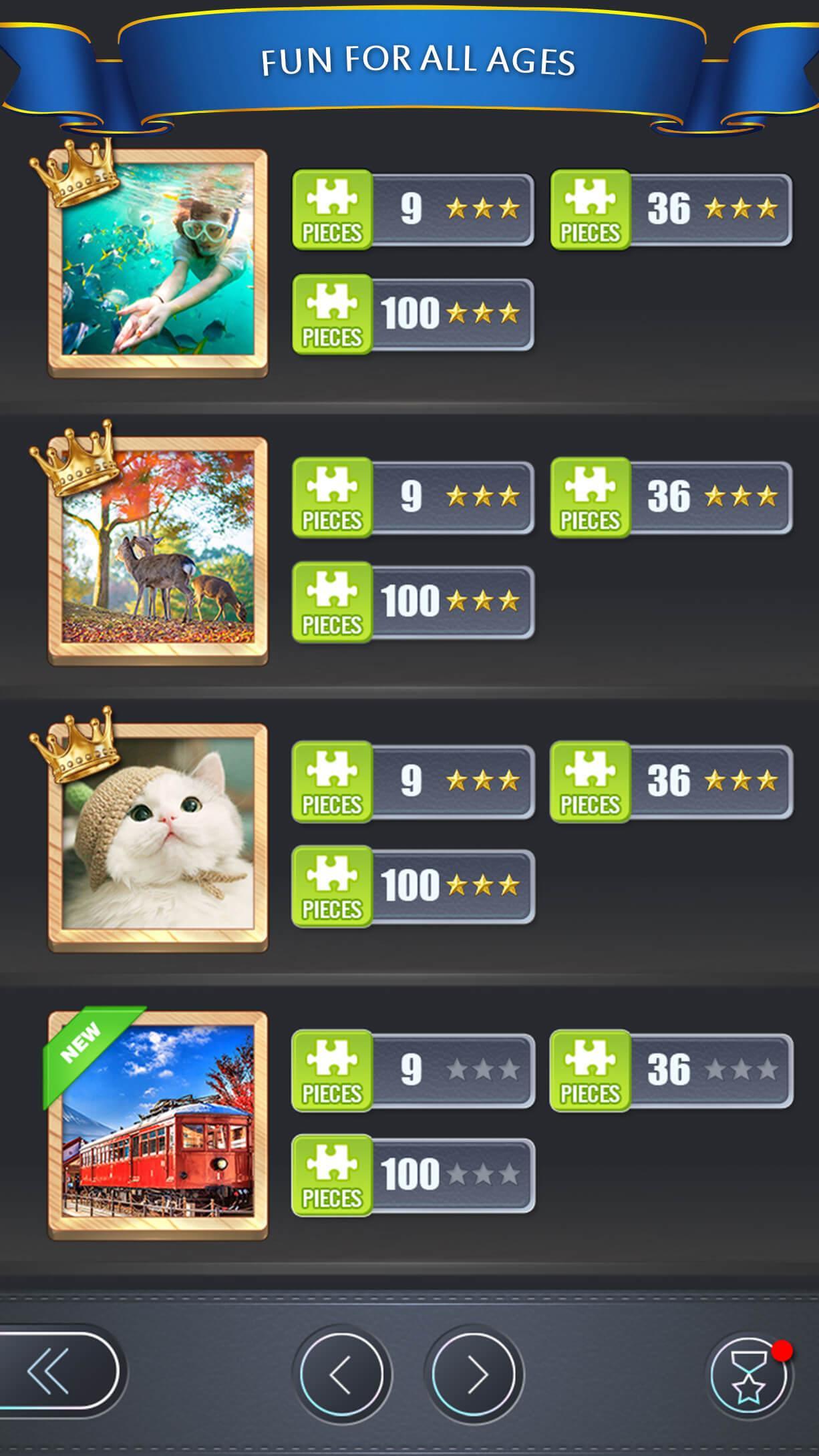 Jigsaw Master Game Screenshot