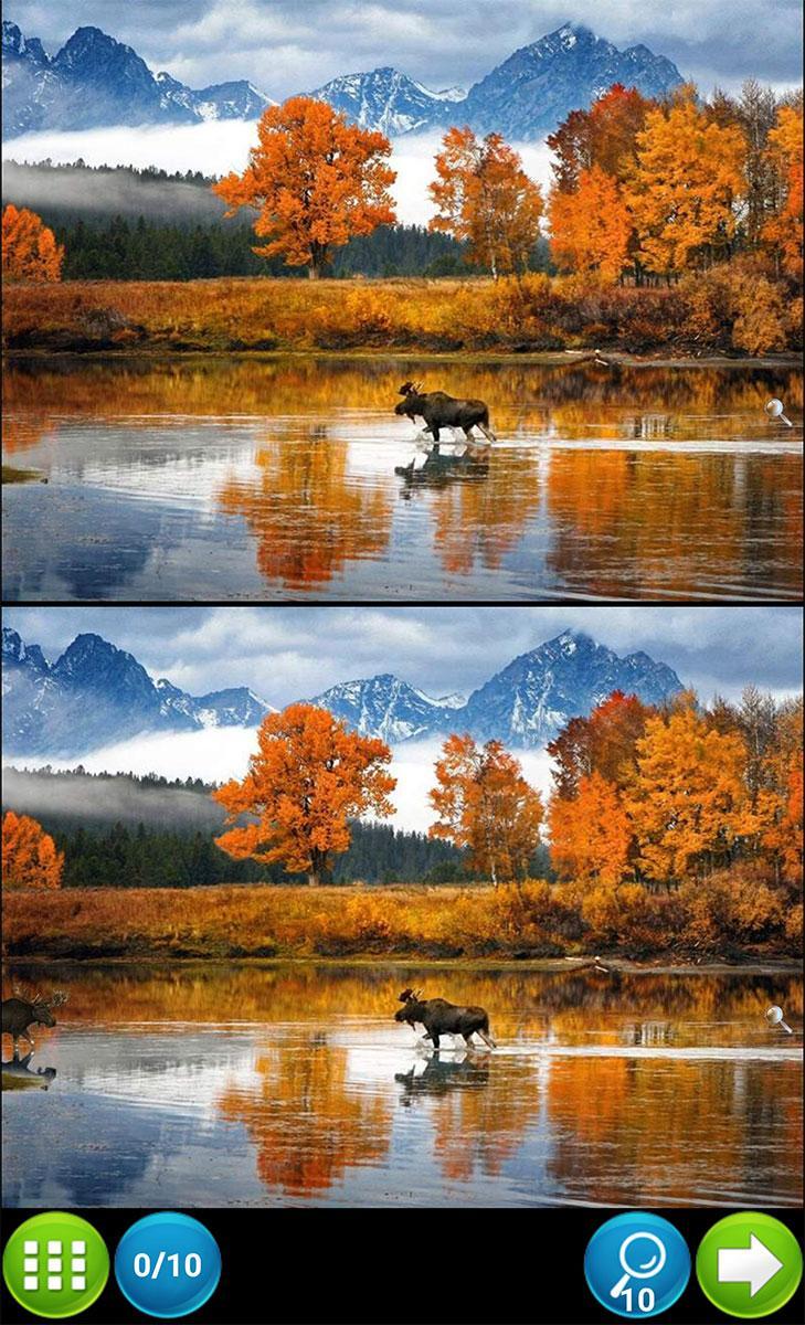 查找區別200級別2 遊戲截圖