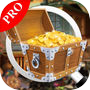 farm hidden mystery pro