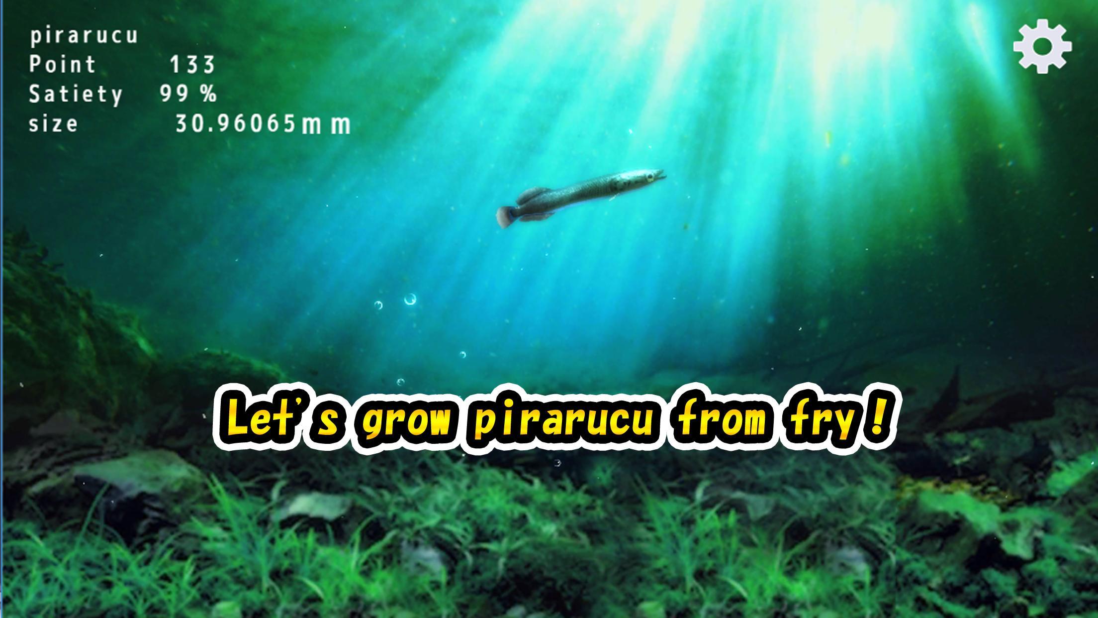 Скриншот игры Pirarucu rising from fry