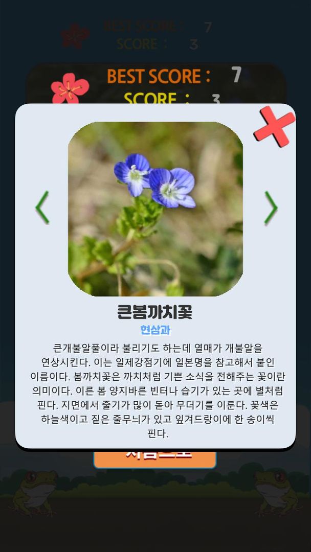 꽃길 Korean Flower Name Game screenshot game