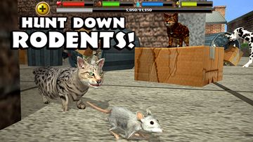 Stray Cat Simulator Game Screenshot