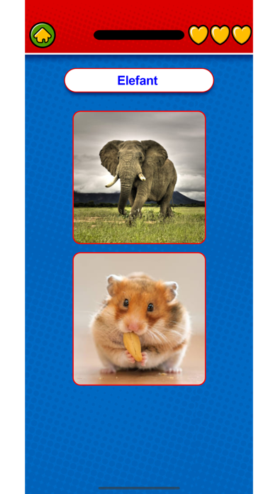 Learn Norwegian Flashcards Game Screenshot
