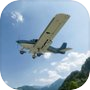 RealFlight Evolution