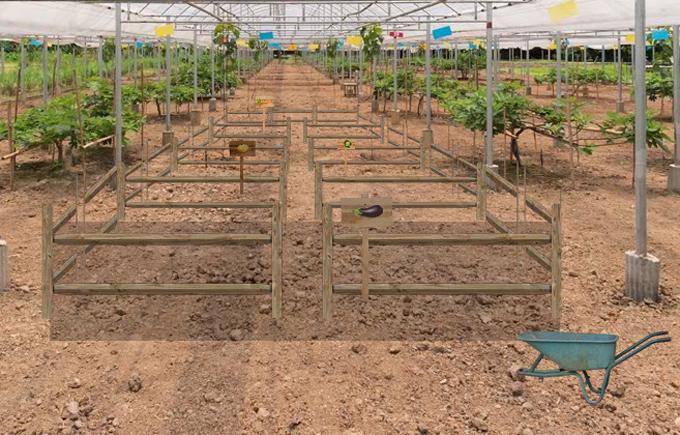 Escape Games - Nursery Garden Game Screenshot