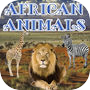 Icon of African Animals