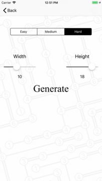 Hashi Infinite Game Screenshot