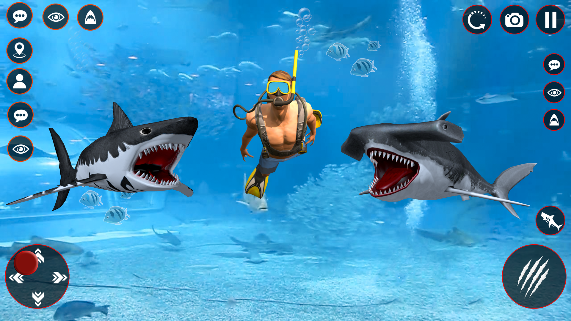 Cuplikan Layar Game Sharks Games 2023: Shark World