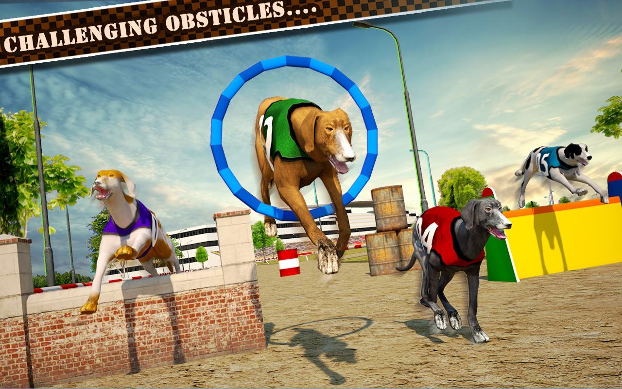 Dog Race & Stunts 2016 Game Screenshot