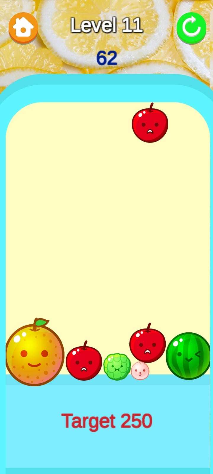 Drop Merge Fruit Game Screenshot