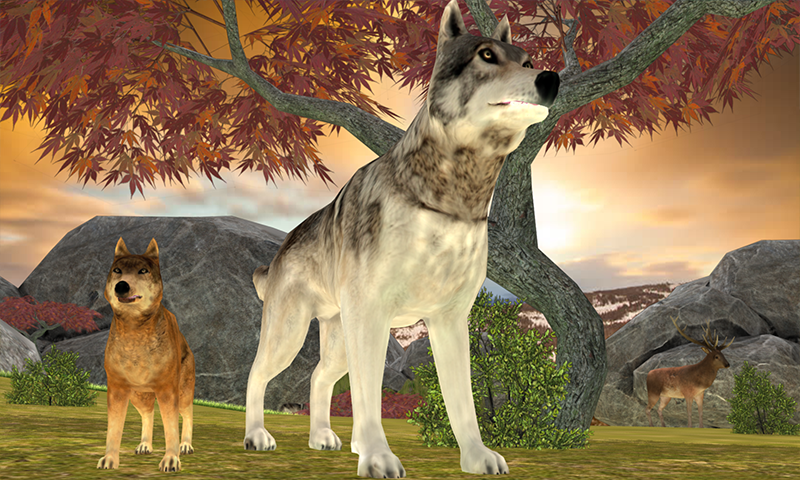 Screenshot 1 of Wild Wolf Simulator ផ្សងព្រេង 1.5