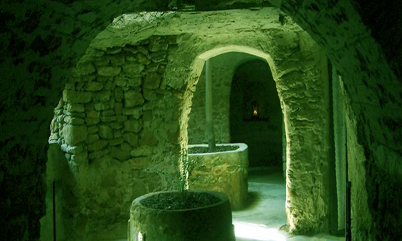 Forestiere Underground Escape 遊戲截圖