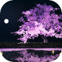 脱出ゲーム ひとよざくら