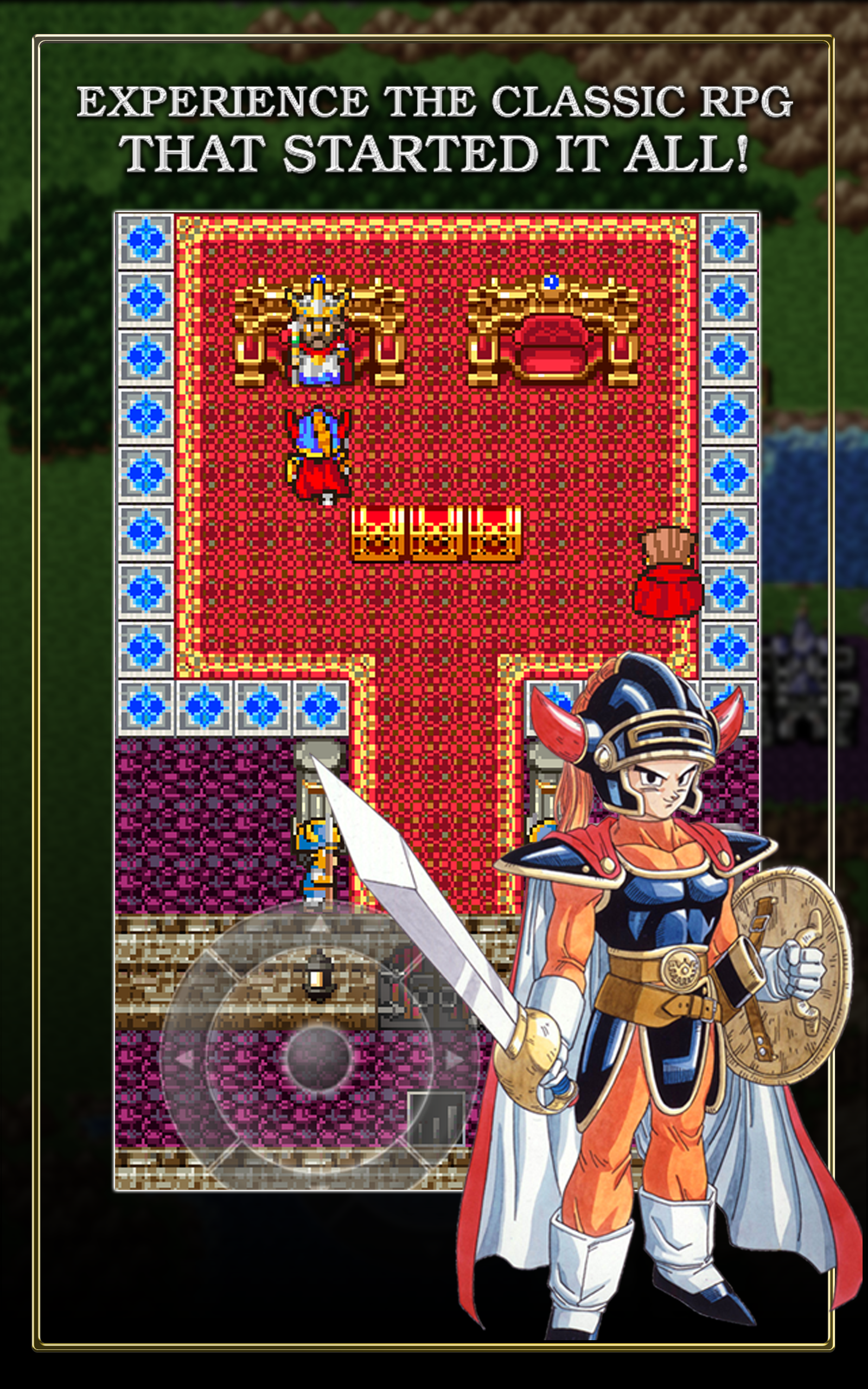 DRAGON QUEST Game Screenshot