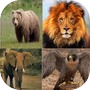 Icon of Questions about animals