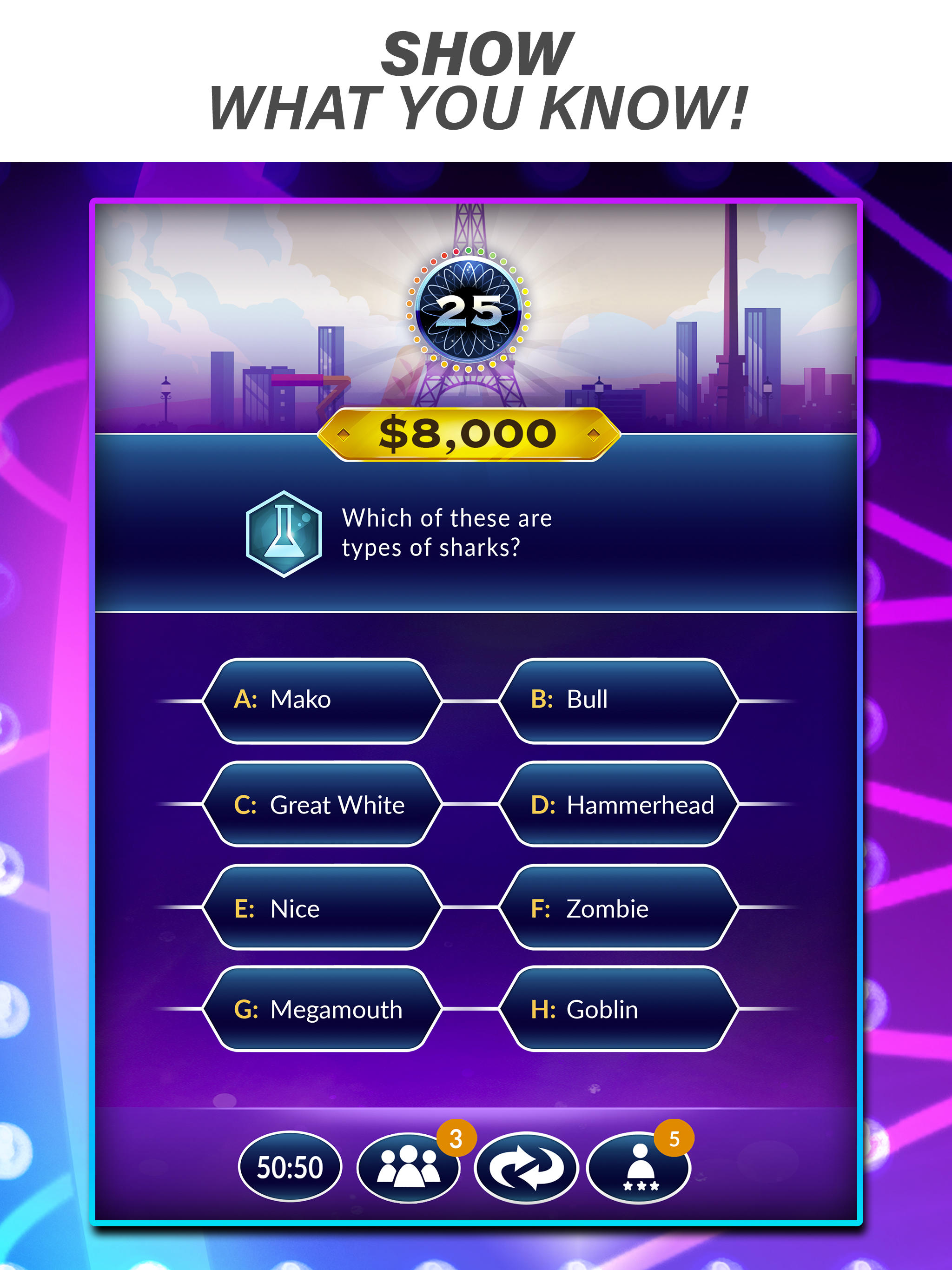 Official Millionaire Game Game Screenshot