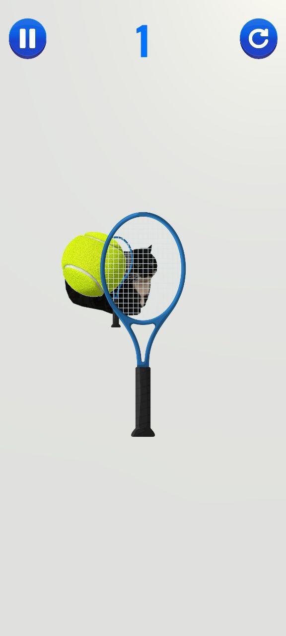 Screenshot of Cat Tennis