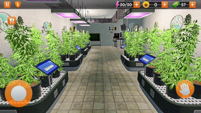 Screenshot of Weed Growing Shop Drug Game