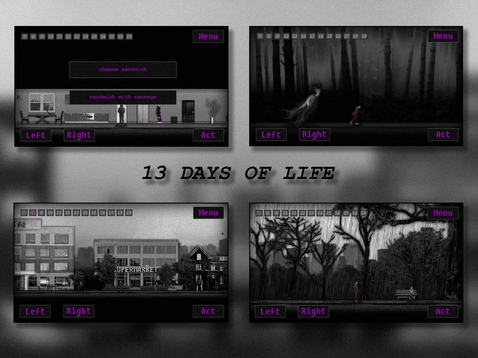 13 DAYS OF LIFE Game Screenshot