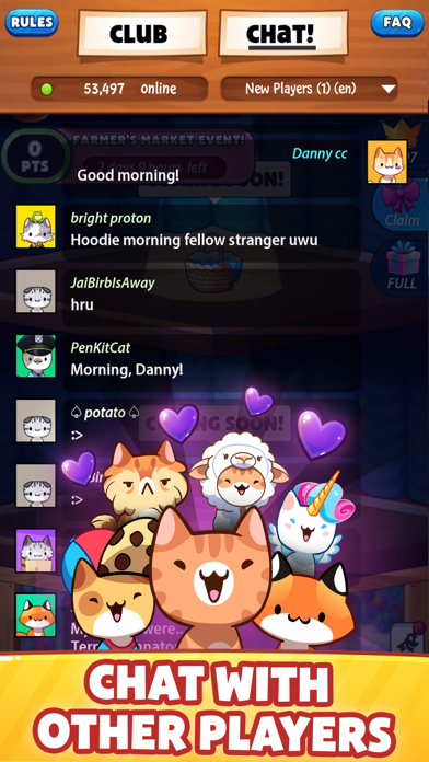 Cat Game - The Cats Collector! Game Screenshot