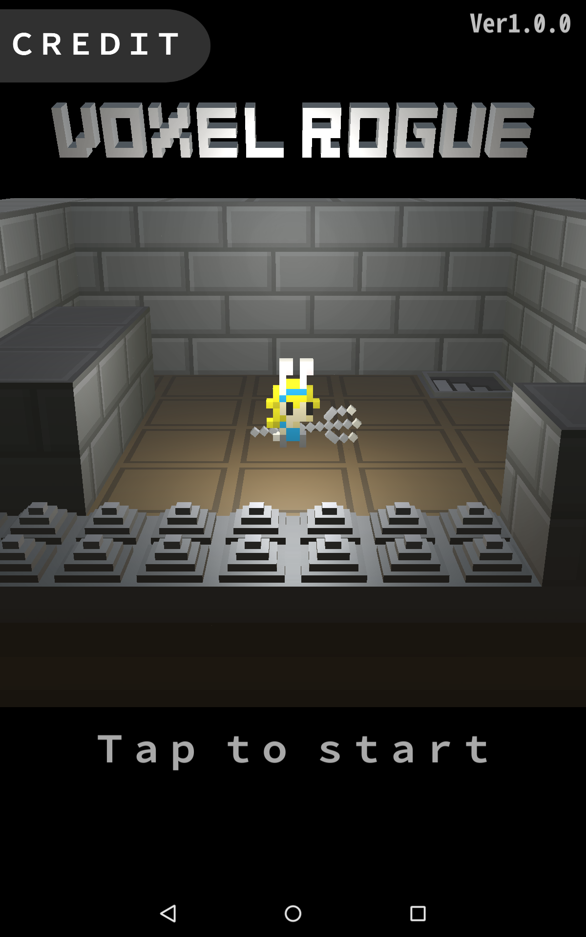 VoxelRogue Game Screenshot