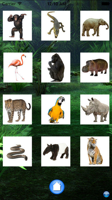 Sounds of Jungle Game Screenshot