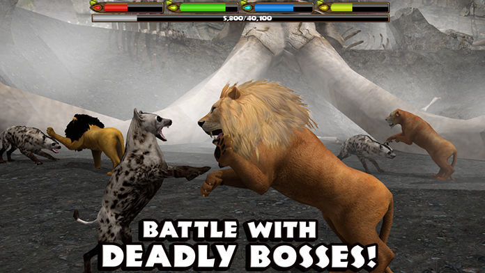 Screenshot of Ultimate Lion Simulator