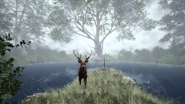 Screenshot dari video TheLostWoods / 迷いの森