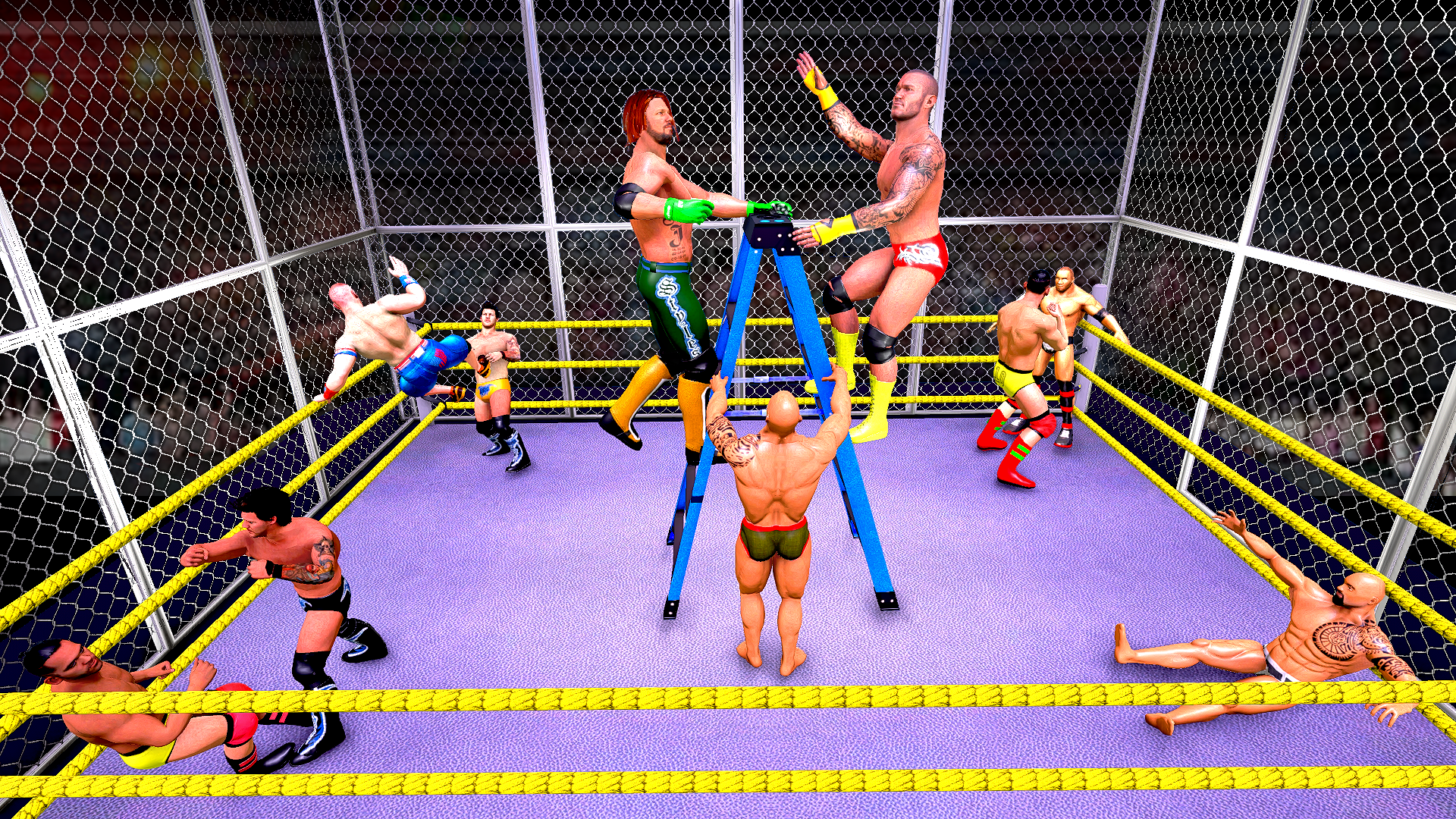 Screenshot of Gym Fighting Wrestling Arena