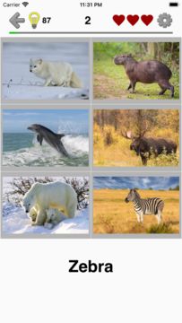 Cuplikan Layar Game Animals Quiz - Mammals in Zoo