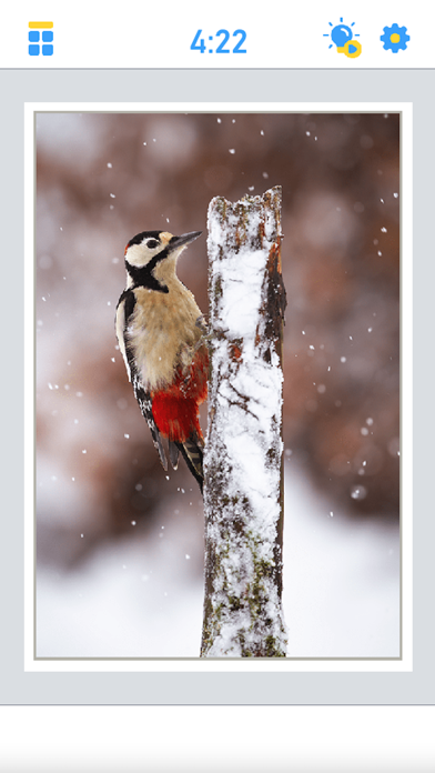 Antistress Jigsaw Puzzle ภาพหน้าจอเกม
