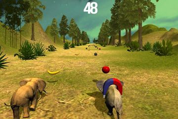 Safari Run - Fun Race Game Screenshot