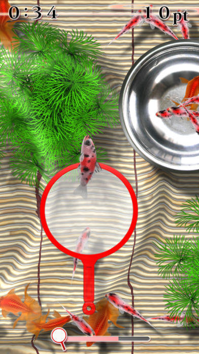 Sakura Goldfishing Game Screenshot