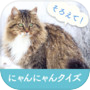 そろえて！にゃんにゃんクイズ