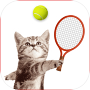 Cat Meow Tennis Sport Battle