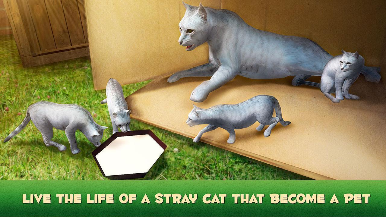 Home Cat Survival Simulator 3D Game Screenshot