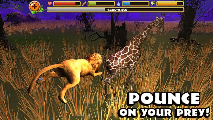 Safari Simulator: Lion遊戲截圖