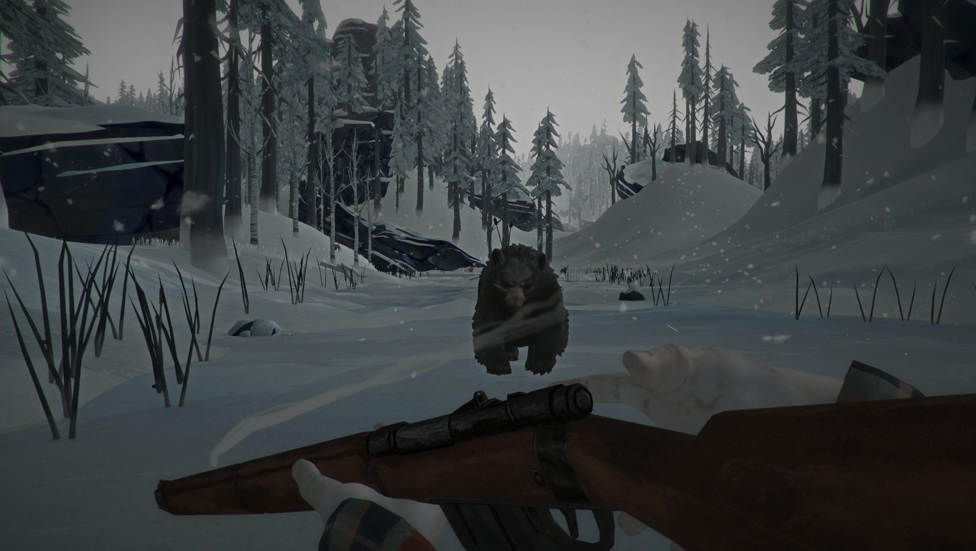 The Long Dark Game Screenshot