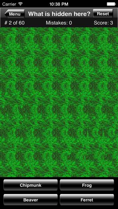 Magic Eye Animal Quiz Game Screenshot
