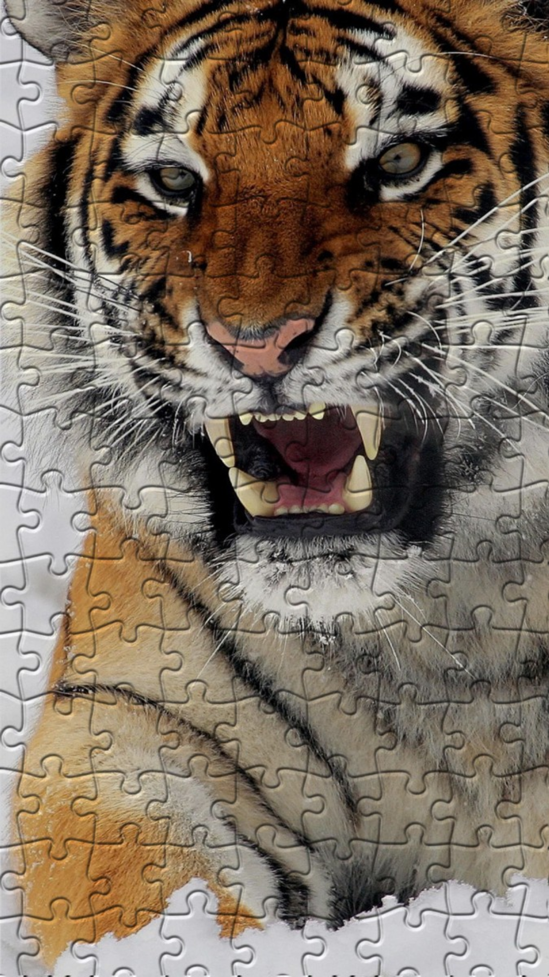 Tiger Puzzles Game Screenshot