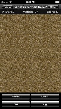 Magic Eye Stereogram Quiz Game Screenshot