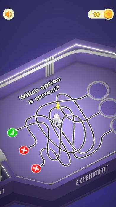 Riddle Labs Game Screenshot