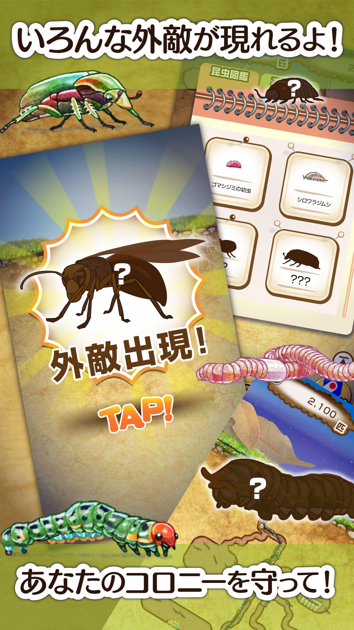 アリの巣コロニー 放置観察育成ゲーム ゲームのスクリーンショット