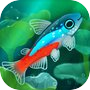 Pondlife — Relaxing Fish Game