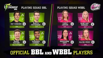 Big Bash Cricket Game Screenshot