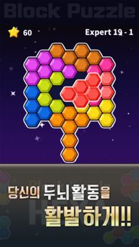 블록 퍼즐 헥사 게임 스크린샷