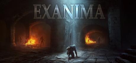 Banner of Exanima 