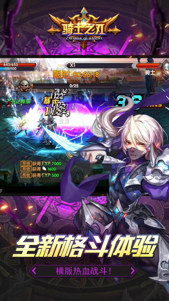 骑士之刃 Game Screenshot